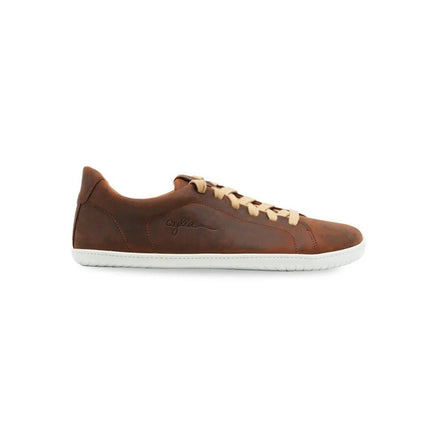 Aylla Keck Dark Brown Mannen